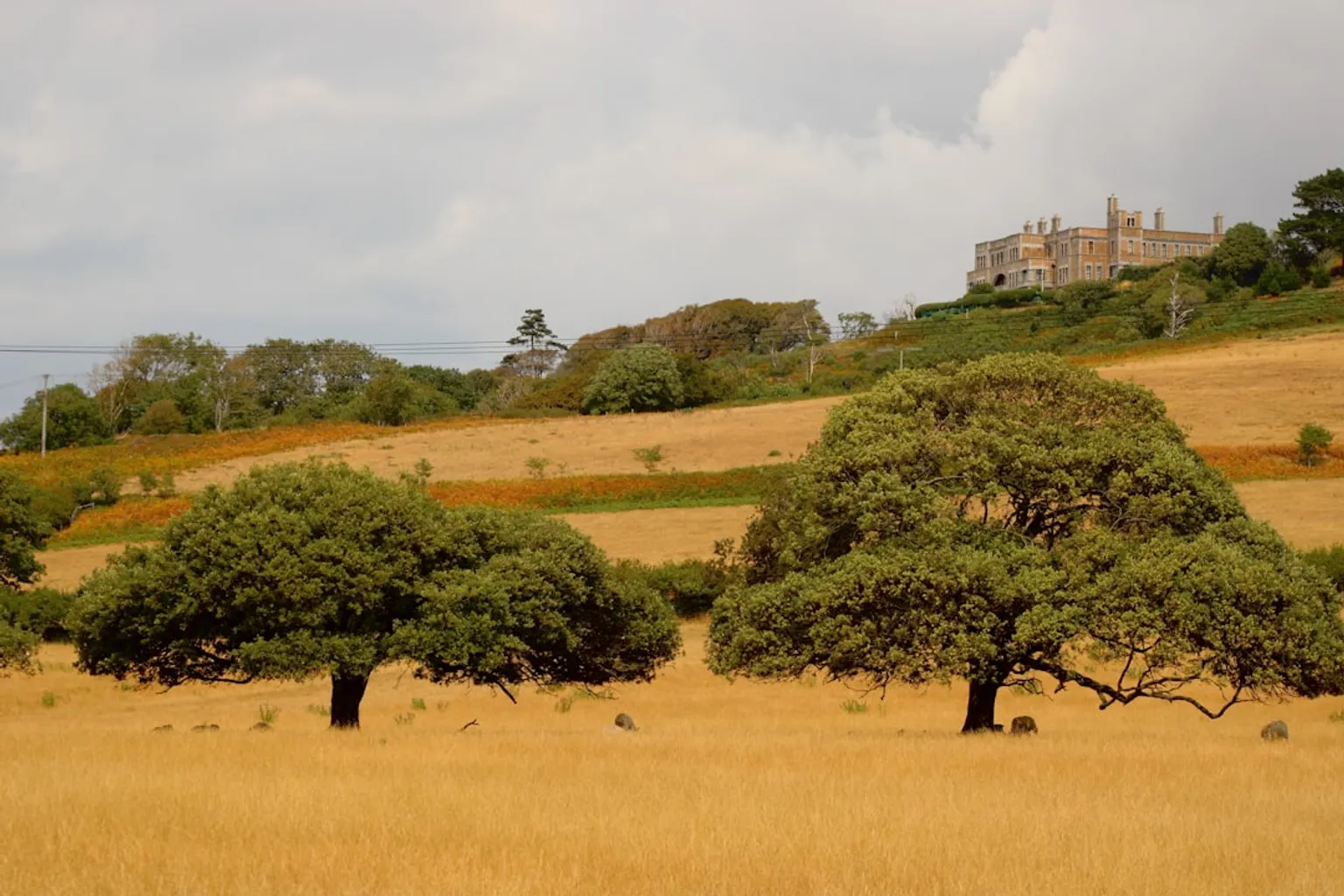 Tickets kaufen für Carisbrooke Castle: Wann lohnt sich das?