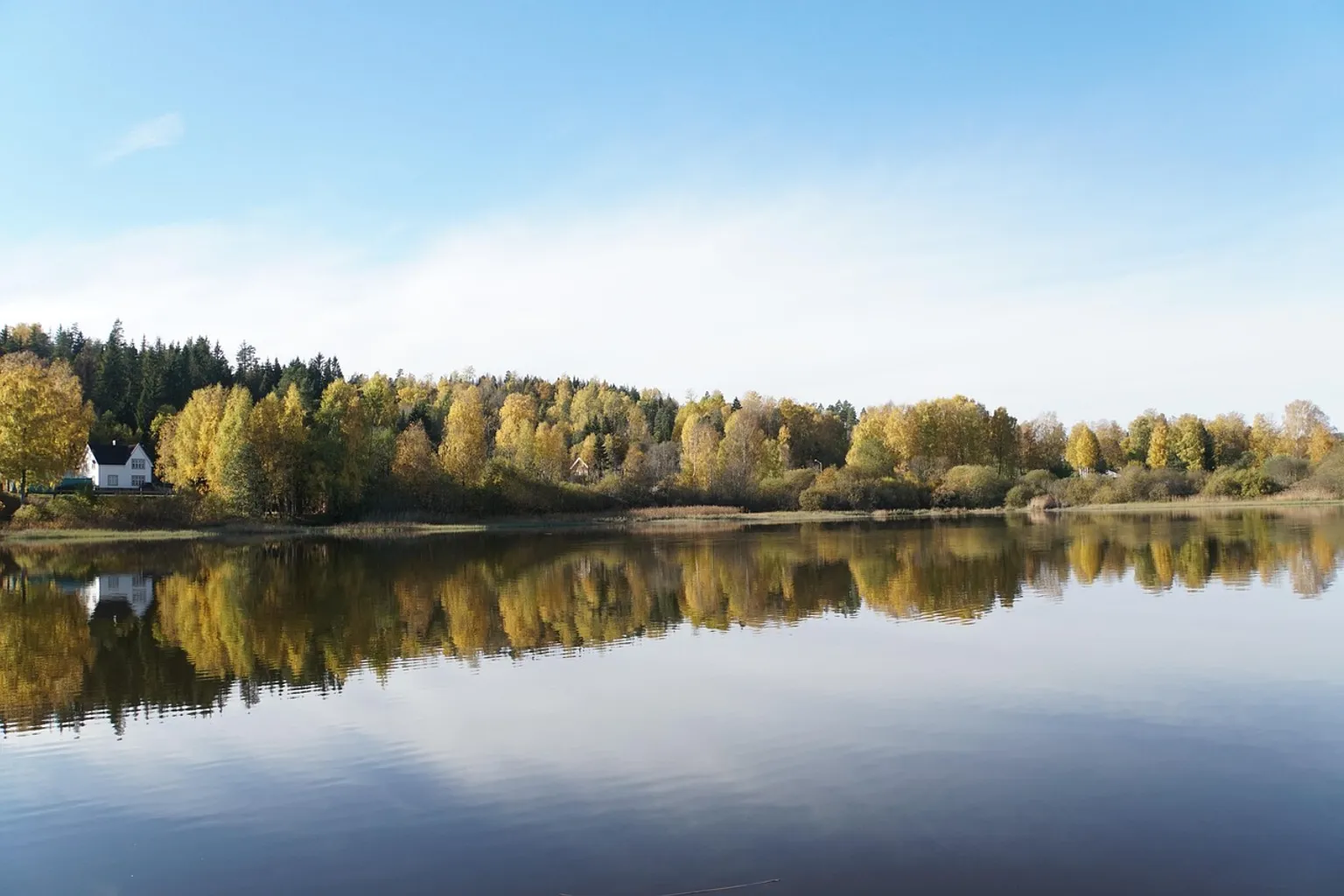 Forest Lagoon Eintritt: Checkliste für MINT-Exkursionen