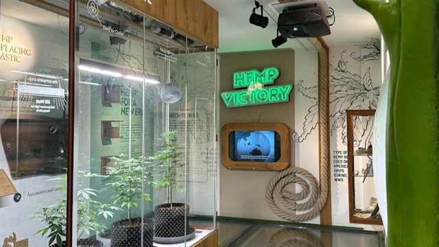 Cannabis-Museum Amsterdam