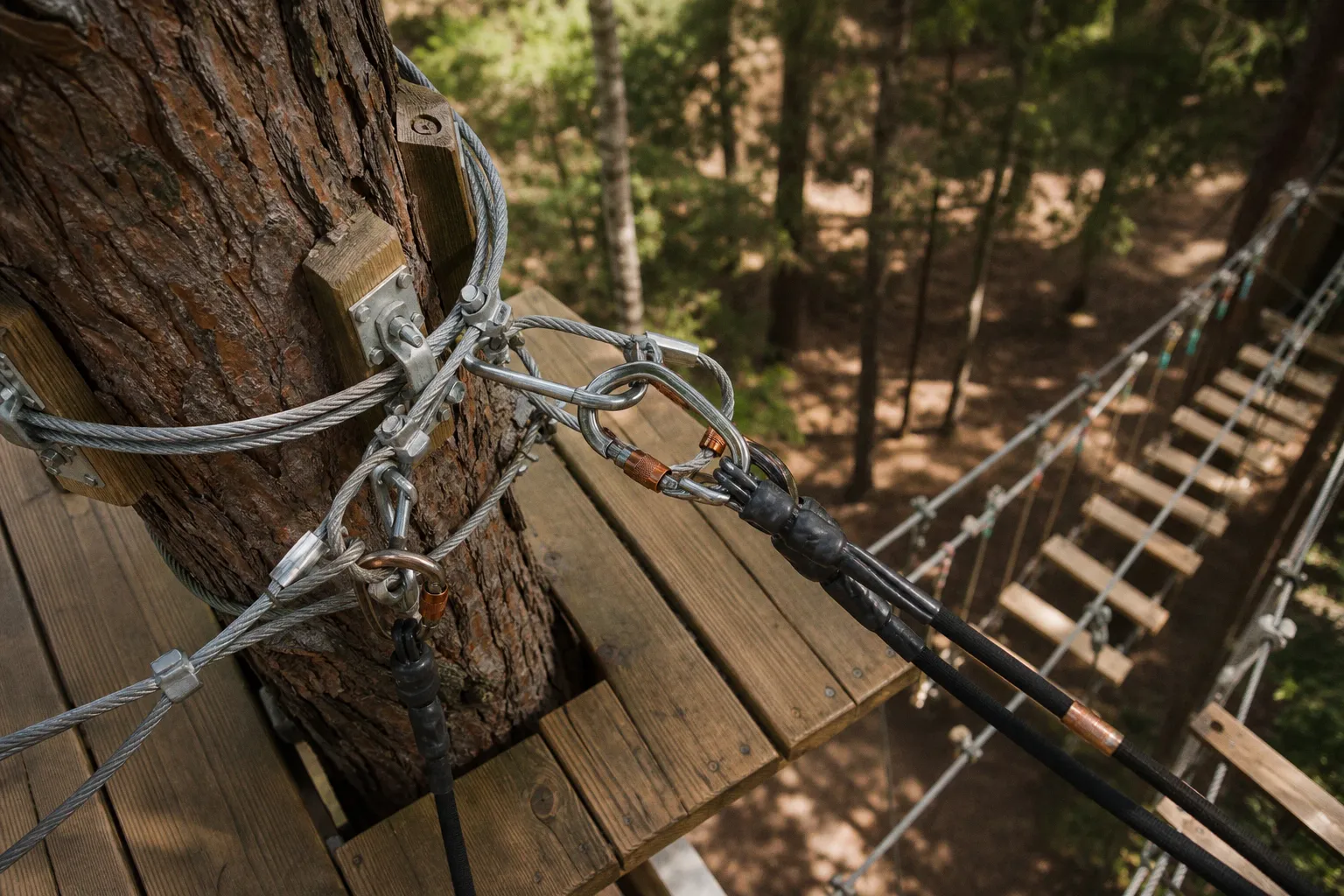 Treetops Adventure Canberra Eintritt: Wann lohnen sich Gruppen?